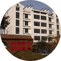 Perspetiva da empresa